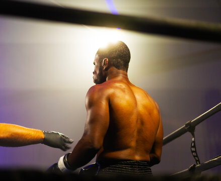 A moody, cinematic scene of a boxing referee standing in the ring with a boxer in the background.
