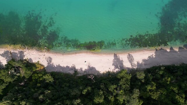 Top Down Aerial View of Turquoise Sea, Sandy Beach and Green Forest