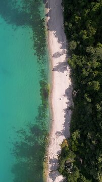 Top Down Aerial View of Turquoise Sea, Sandy Beach and Green Forest