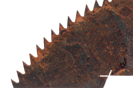 Old rusty saw blade isolated on white background
