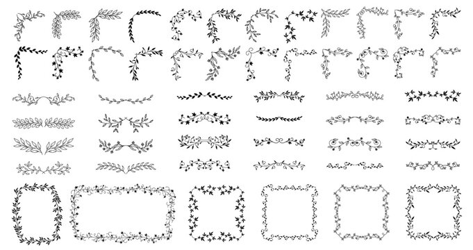 Vintage floral borders, text dividers, and frames vector set. vines, leaves, and curling botanical borders on white background.