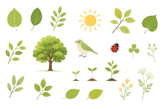 Fresh green leaves and nature illustration set with tree bird ladybug clover flowers and sprouts on white background