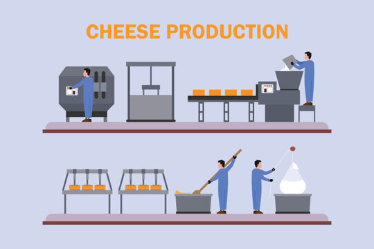 Cheese Production Line and Dairy Factory Process 2d flat vector illustration