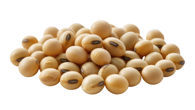 Isolated pile of raw soybeans, natural plant-based protein ingredient for healthy diet
