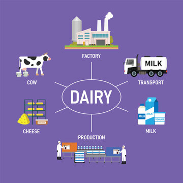 Dairy Industry Supply Chain and Milk Production Concept Infographic 2d flat vector illustration