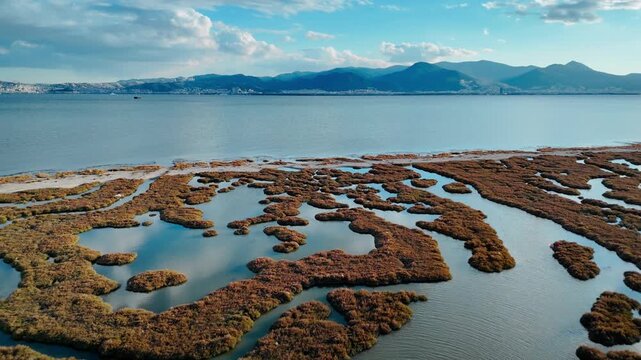 Aerial view of coastal wetland ecosystem with salt marsh islands and shallow lagoon channels. Natural pattern of marsh vegetation and calm coastal water.