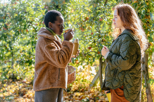 Diverse female friends drinking hot tea in sunny apple orchard during autumn harvest