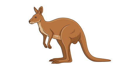 Brown Kangaroo Standing in Natural Habitat with Long Tail. © adobe