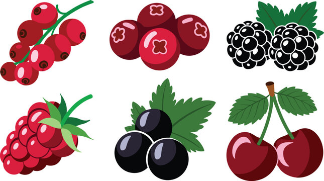 Fresh berry cartoon vector icon set featuring red currants, cranberries, blackberries, raspberries, blackcurrants, and cherries