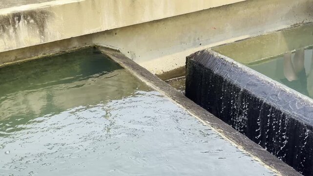 Coagulation and sedimentation process in water treatment