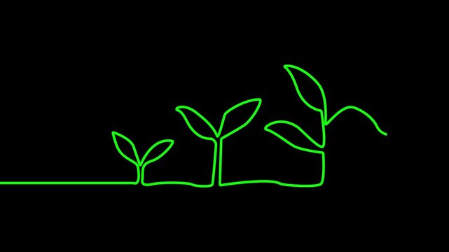 Tree icon animation. Icon tree swaying in the wind, simple 4k looping plant icon.