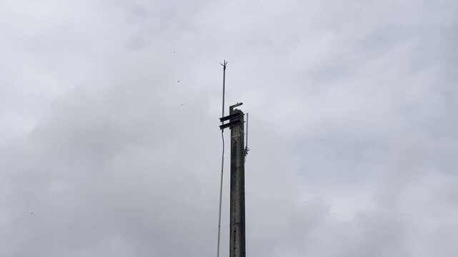 IoT Communication Equipment Mounting Pole (Gateway, LoRaWAN, Zigbee) with Lightning Protection System