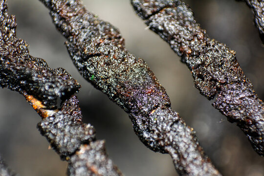 Macro Close up of Dark Granular Texture with Sparkling Bokeh Effect