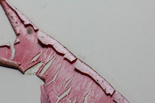 Close up of Peeling Pink Paint Revealing Cracks and Abstract Texture