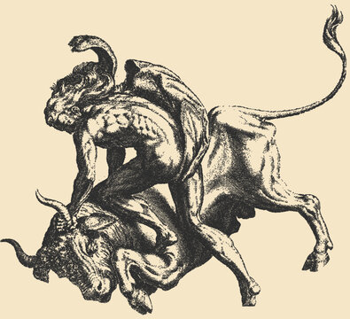 Heroic man wrestling a bull in stipple engraving