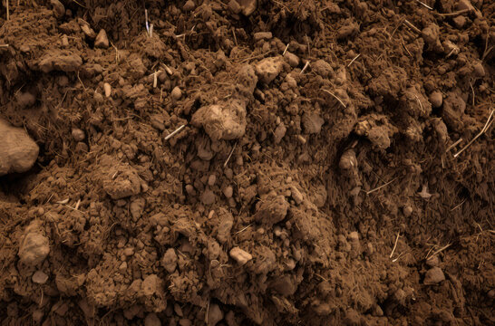 Processed collage of underground brown soil layer material texture. Background for banner.