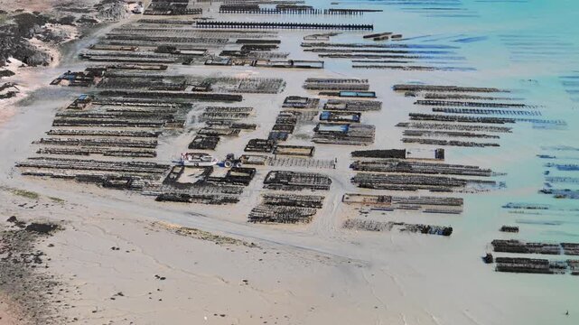 Drone shot of organized oyster farming fields near Cancale, highlighting shellfish cultivation and coastal seafood industry