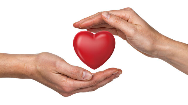 Caring hands protecting a red heart isolated on png transparent background