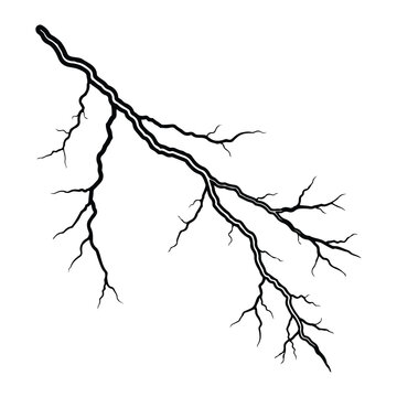 Silhouette of lightning bolt with branching tendrils on white background