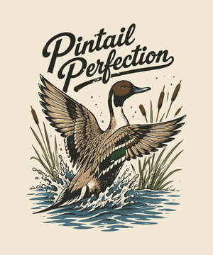Vintage style illustration of a wild pintail duck taking flight from the water with cattails and text Perfection in classic hand drawn design tshirt design