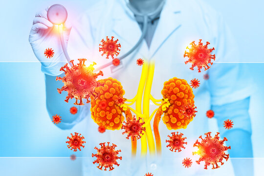 Doctor check and diagnose the human kidney disease on medical background. 3d illustration