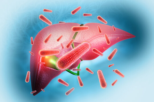 Hepatitis virus with human liver. Medical research. 3d illustration