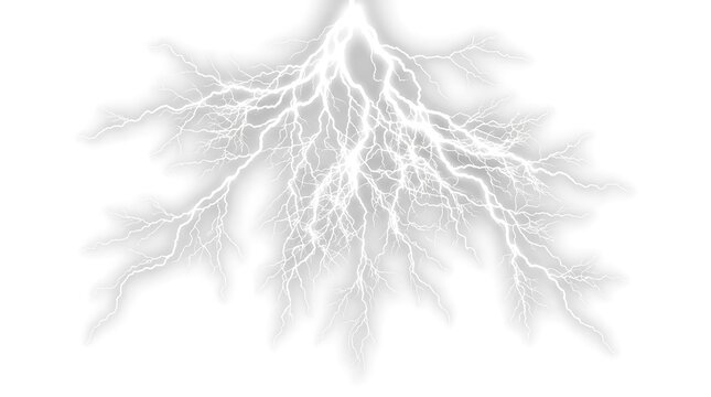 Gray vascular tree branch system.