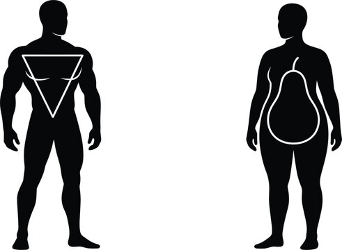 Human body shapes classification vector silhouette of muscular inverted triangle male and overweight female pear shape figures