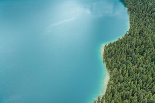Aerial View of Cuopu Lake Sapphire Blue Water and Primeval Pine Forests in Batang, Western Sichuan