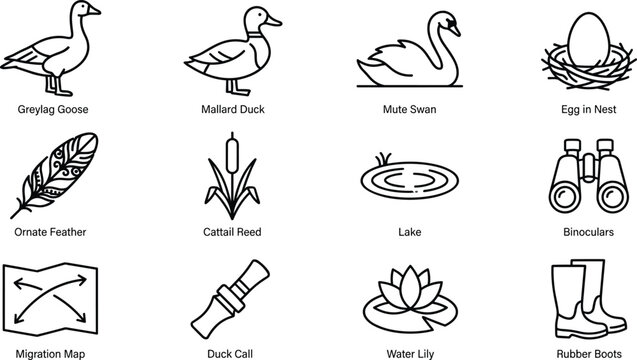 Wetland nature and duck hunting line icons set featuring greylag goose swan binoculars migration map rubber boots