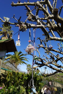 Pacifier tree branches displaying colorful dummies for weaning tradition