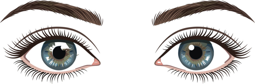 Beautiful female blue eyes with long eyelashes and shaped eyebrows vector illustration isolated on white background