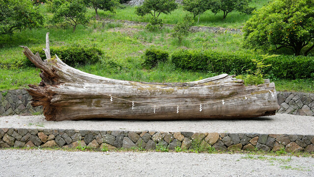 Ancient wooden shrine relic decorated with paper streamers