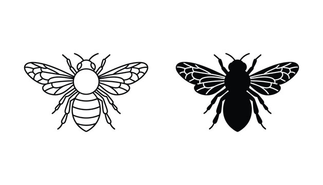 Two different bee illustrations side by side