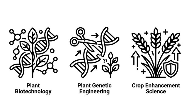 Plant biotechnology and genetic engineering crop enhancement science icons with biotechnology genetics engineering enhancement research modification innovation technology breeding laboratory