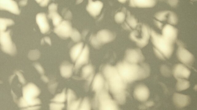 Bokeh from leaves shadows silhouette on wind overlay abstract background, soft light reflection from leaves, tree branch or lush foliage in summer sunlight.