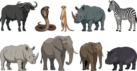 African Wildlife Wild Animals Vector Illustration Set Featuring Elephant, Rhinoceros, Zebra, Hippopotamus, Buffalo, Cobra, and Meerkat for Safari and Nature Designs © Tanjimul
