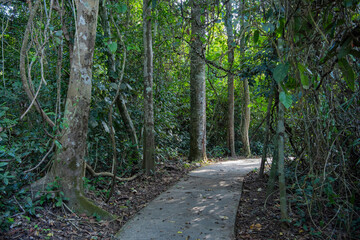 THAILAND NAKHON NAYOK KHAO YAI NATIONALPARK HAEW NAROK WATERFALL © flu4022
