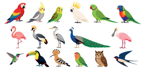 Fototapeta premium Diverse set of colorful bird illustrations featuring exotic and common species like a parrot, toucan, flamingo, peacock, owl, and hummingbird in a detailed flat cartoon style