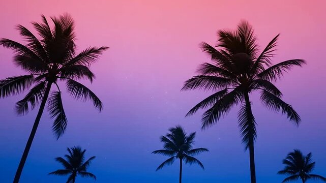 Silhouetted palm trees against a vibrant gradient sky at sunset