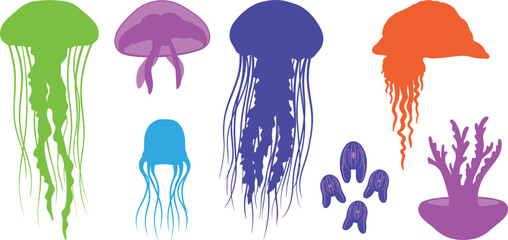 Jellyfish silhouette vector set featuring colorful marine animal shapes and coral reef design elements for graphics © fajle Rabbi!