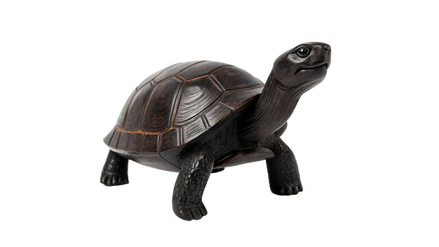 Small wild realistic turtle reptile wildlife creature standing isolated on a transparent background