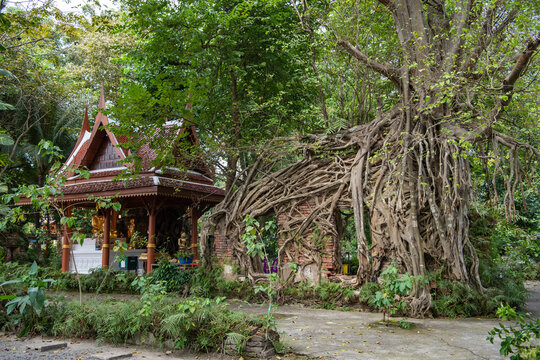 THAILAND NAKHON NAYOK BAN NA WAT LEK THAMMAKIT