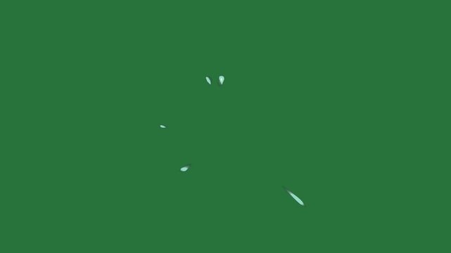 Bird Flying on Green Screen Chroma Key Background
