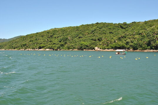 snata catarina - sc