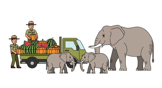 Park Rangers Feeding Elephants with Watermelons and Pumpkins Vector
