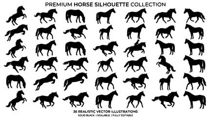 Obraz premium Horse Silhouette Bundle Vector Collection for Animal and Wildlife Designs