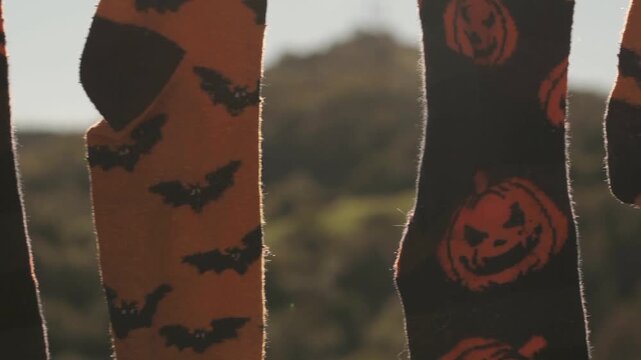 Close up shot of two pairs of halloween themed socks hanging on a clothesline, one black with pumpkins and one orange with bats