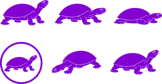 African Mud Turtle Silhouette Icon Set Black Vector Freshwater Turtle Collection