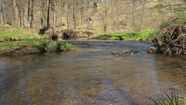 relaxing view on a flowing creek with nature sounds